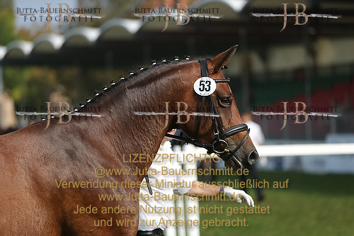 Preview 14-BSS-SpK-Herbstsonne_JB_90579.JPG