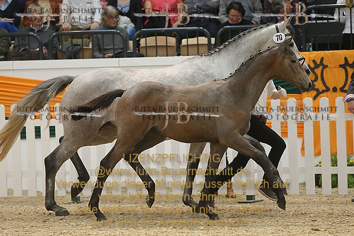 Preview 14-THM-F-Herbstroeschen_JB_06102.JPG