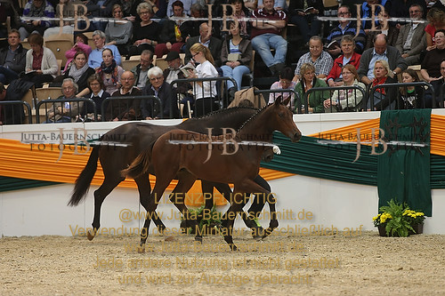 Preview 14-THM-F-Outback_JB_06091.JPG