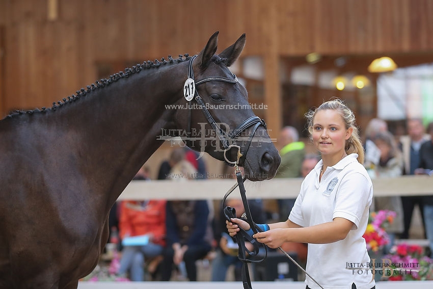 Preview 15-ZStEBy-Herbstkoenigin_JB_25570.JPG