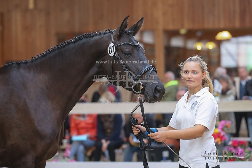 Preview 15-ZStEBy-Herbstkoenigin_JB_25571.JPG