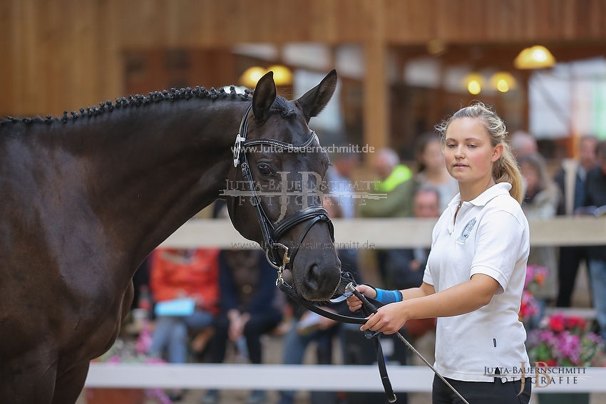 Preview 15-ZStEBy-Herbstkoenigin_JB_25574.JPG