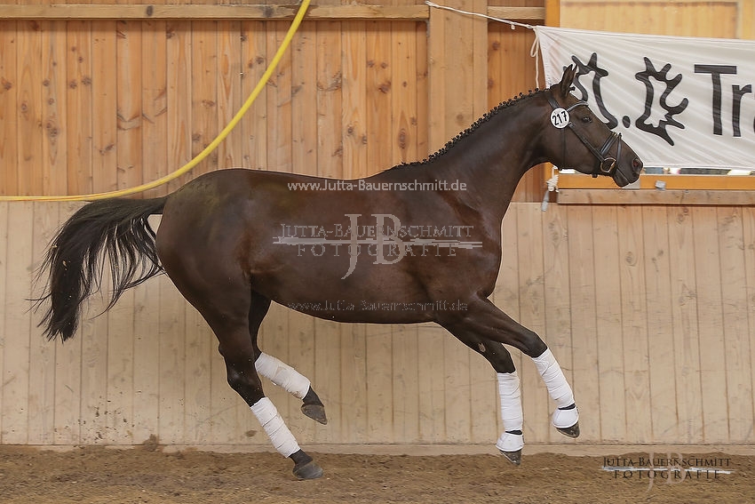 Preview 15-ZStEBy-Herbstkoenigin_JB_25577.JPG