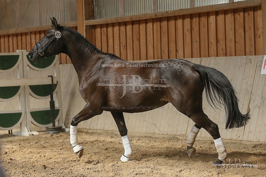 Preview 15-ZStEBy-Herbstkoenigin_JB_25582.JPG