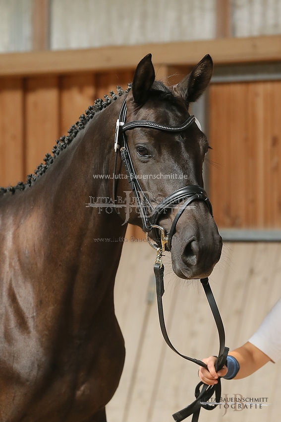 Preview 15-ZStEBy-Herbstkoenigin_JB_25586.JPG