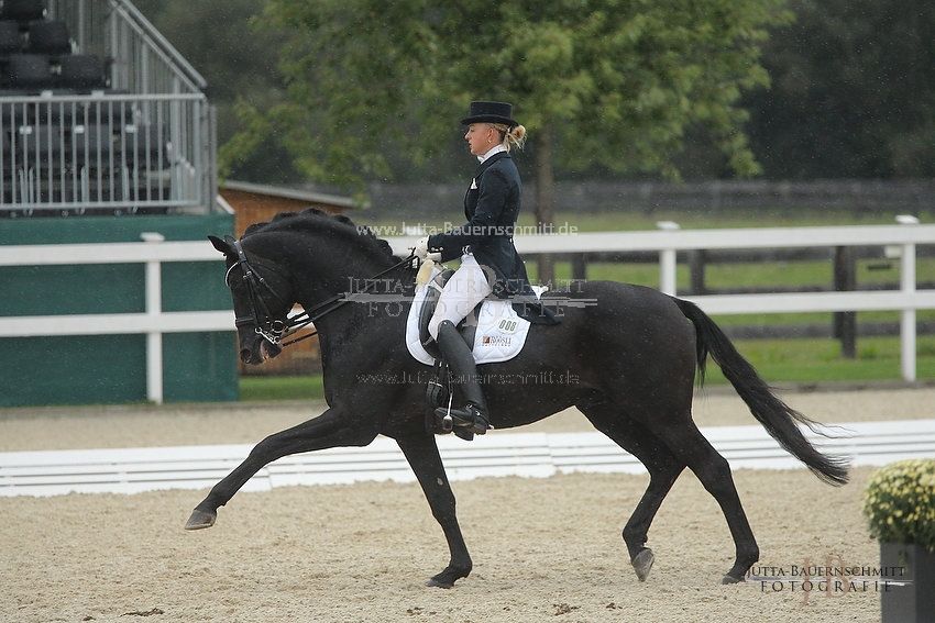 Preview 16-AChamp-Hibiskus_JB_63100.JPG