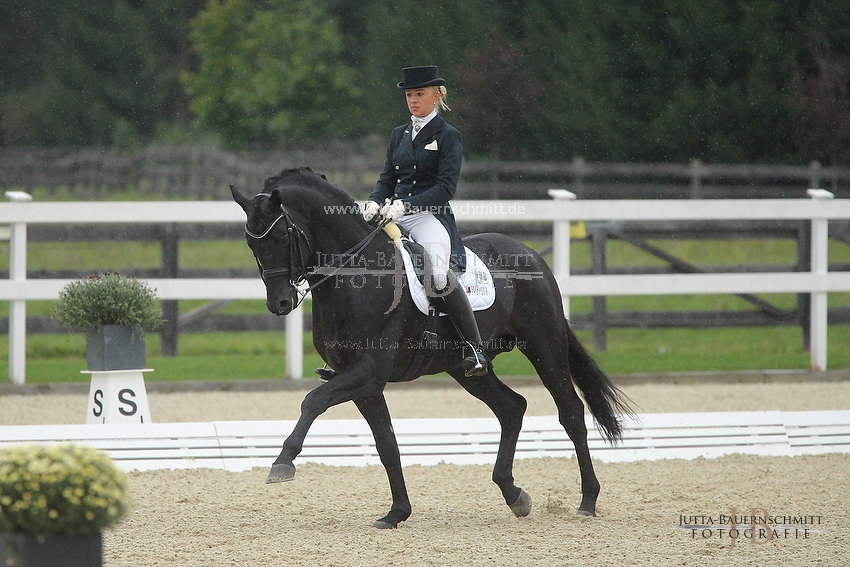 Preview 16-AChamp-Hibiskus_JB_63104.JPG