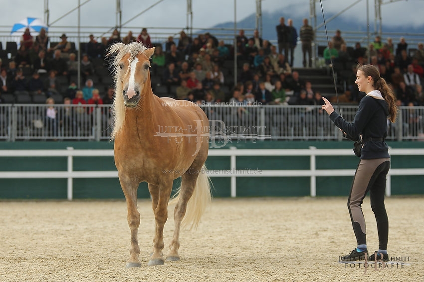 Preview 16-SchauA-Freiheitsdressur_JB_64817.JPG