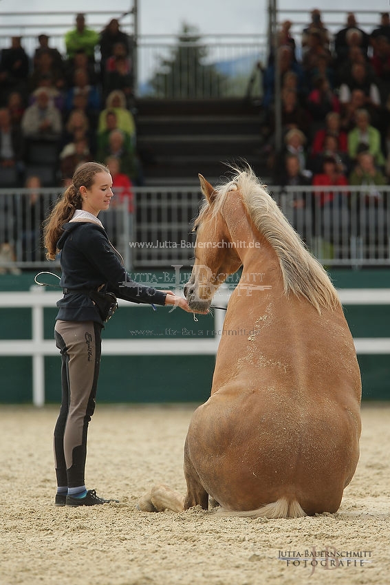 Preview 16-SchauA-Freiheitsdressur_JB_64861.JPG