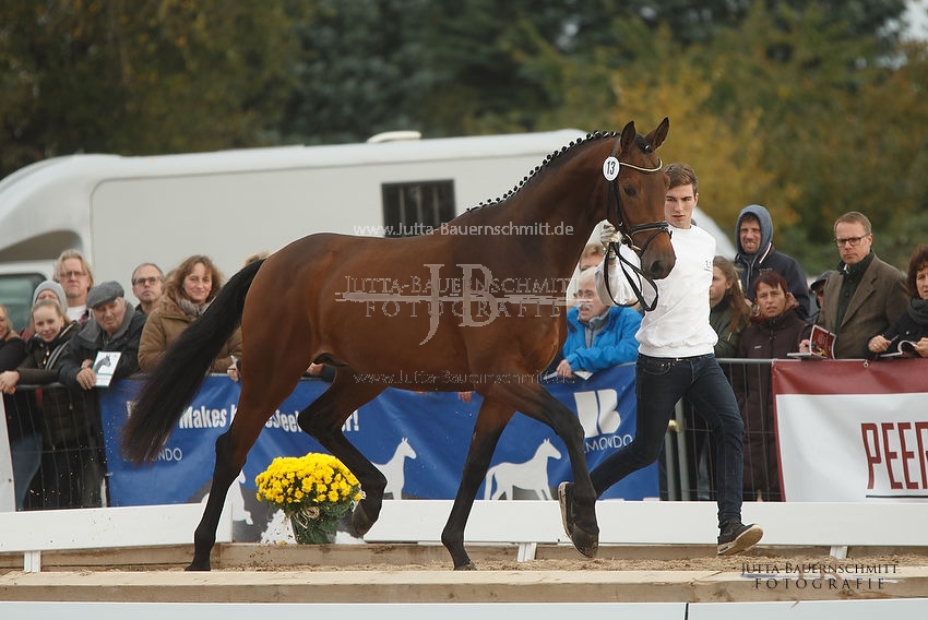 Preview 16-THM-GH-Donaumond_JB_67500.JPG