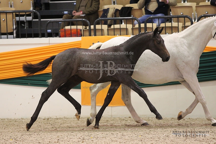 Preview 16-THM-F-Sachsenfuerst_JB_69215.JPG