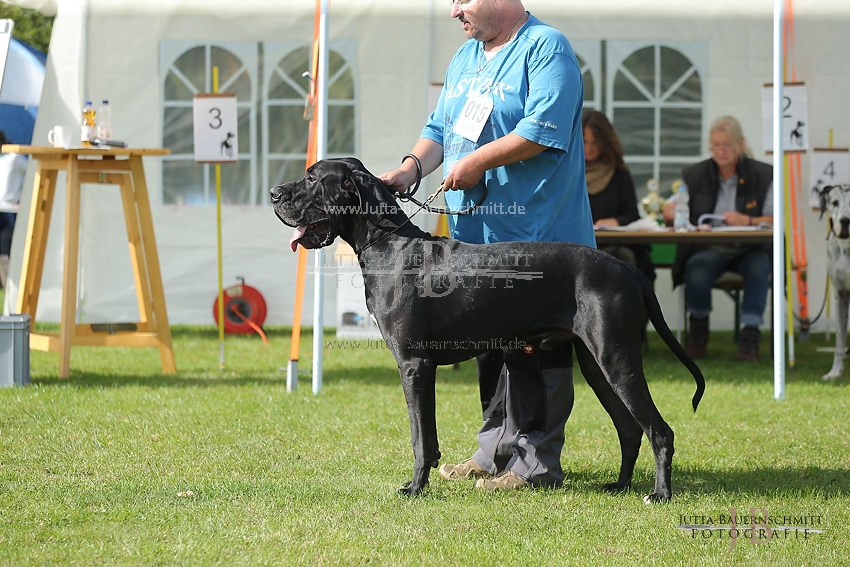 Preview 17-OGWett-FriedrichWilhelmvHollenstein_JB_84783.JPG