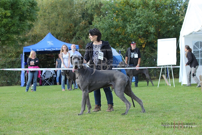 Preview 17-OGWett-HagenvdWolfshoehle_JB_84880.JPG