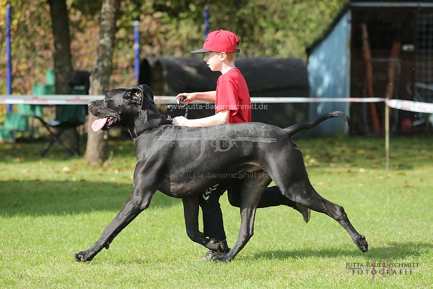 Preview 17-OGWett-JuliusvKlostergarten_JB_84786.JPG