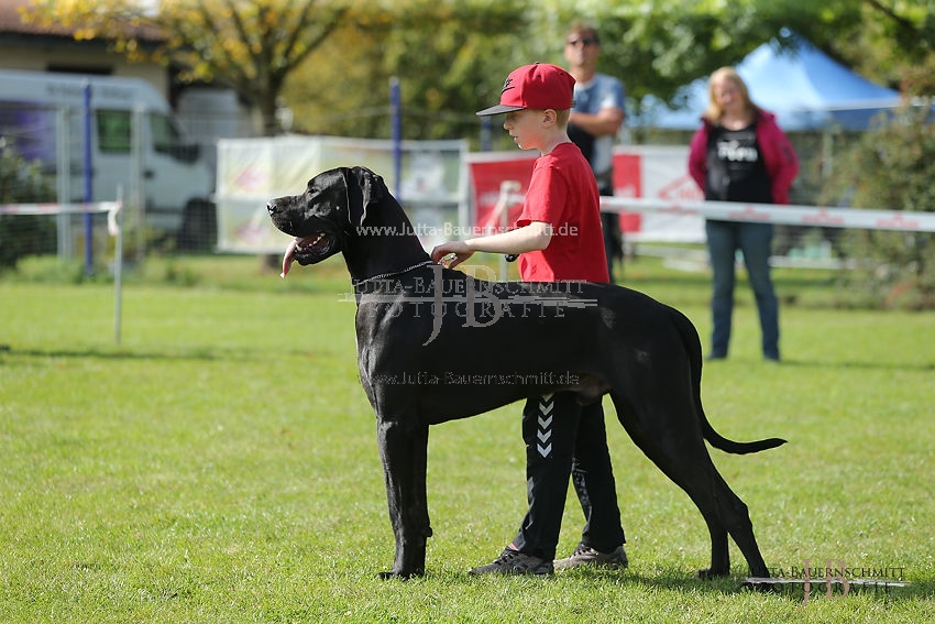 Preview 17-OGWett-JuliusvKlostergarten_JB_84795.JPG