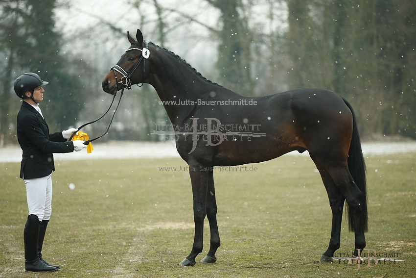 Preview 17-TFK-FreiherrvStein_JB_67130.JPG