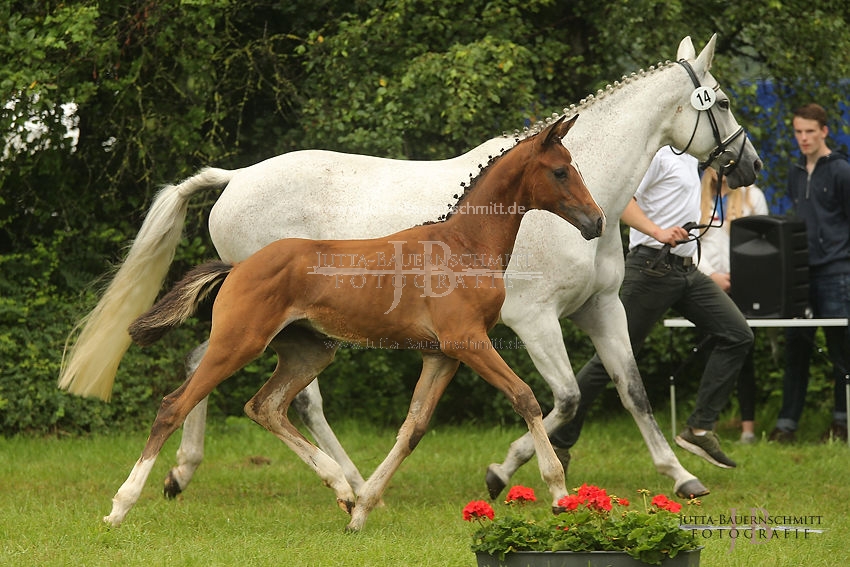 Preview 17-TBT-F-Koenigsweihe_JB_83184.JPG