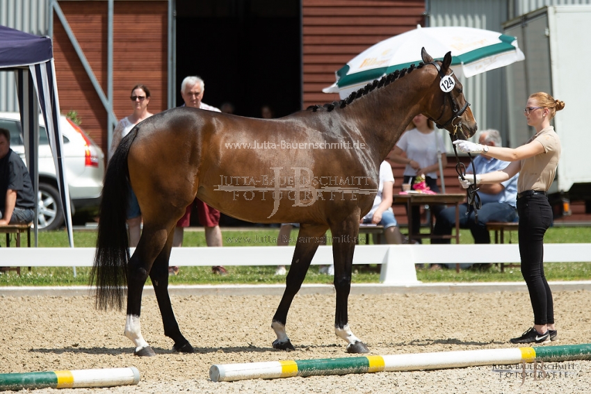 Preview 18-ZStEZB-4-Parade_JB_92542.jpg