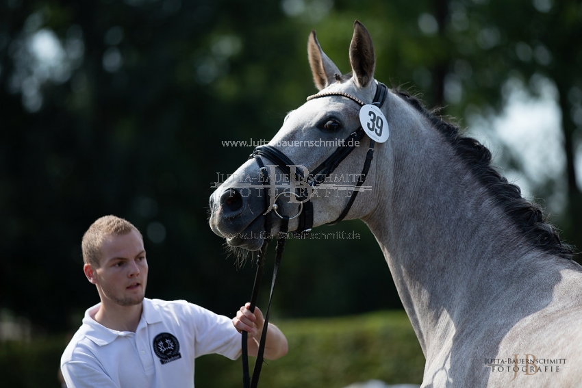 Preview 18-LSSW-06-SantaArabica_JB_95929.jpg