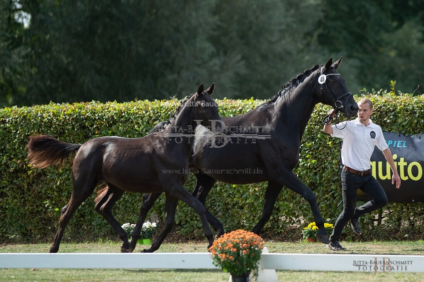 Preview 18-LSSW-07-DekadevomKlosterhof_JB_96174.jpg