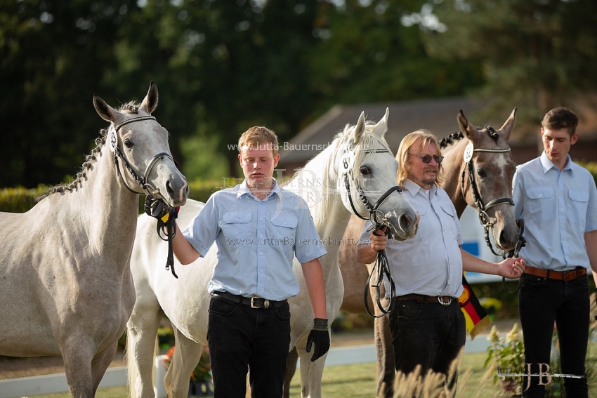 Preview 18-LSSW-14-ZuechtersammlungderShafaliox_JB_97551.jpg