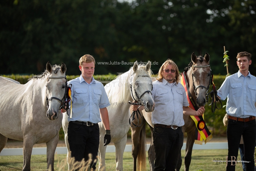 Preview 18-LSSW-14-ZuechtersammlungderShafaliox_JB_97569.jpg