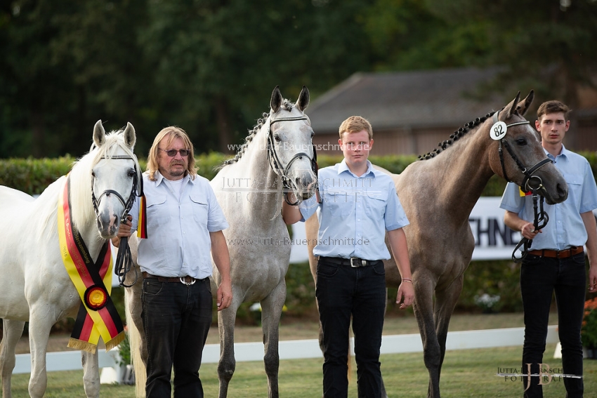 Preview 18-LSSW-14-ZuechtersammlungderShafaliox_JB_97653.jpg