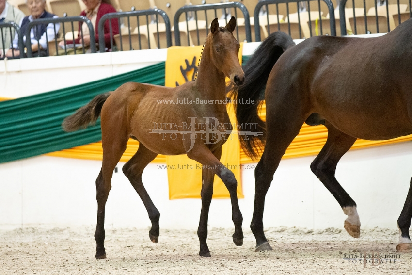 Preview 18-THM-F-CoramPublico_JB_02949.jpg