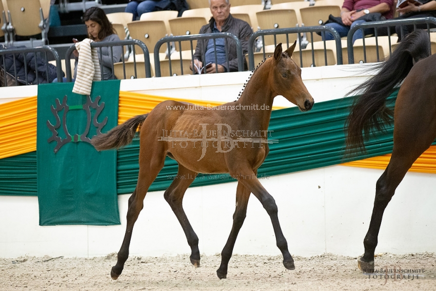 Preview 18-THM-F-CoramPublico_JB_02950.jpg