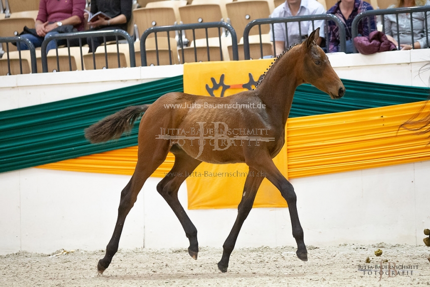 Preview 18-THM-F-CoramPublico_JB_02951.jpg