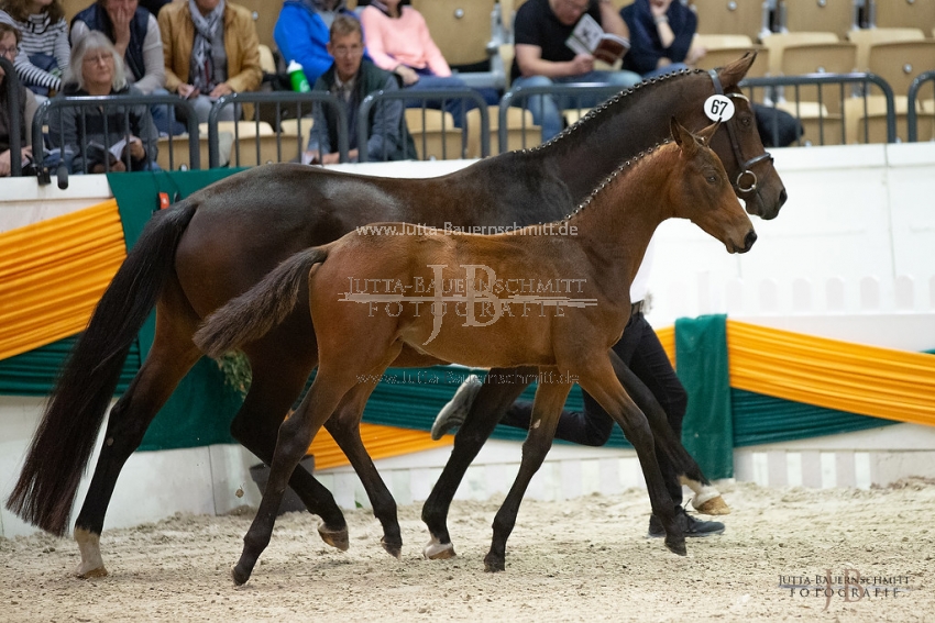 Preview 18-THM-F-CoramPublico_JB_02961.jpg