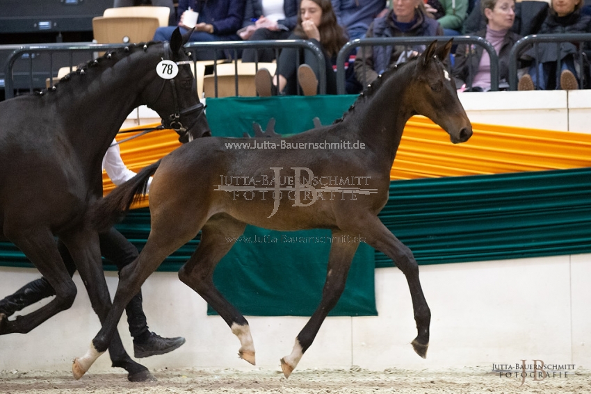 Preview 18-THM-F-Escorial_JB_03081.jpg