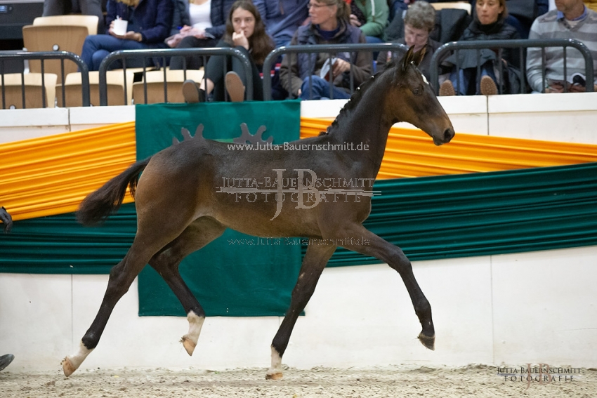 Preview 18-THM-F-Escorial_JB_03083.jpg