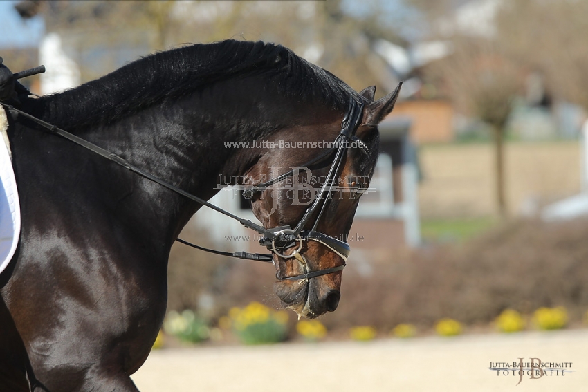 Preview 19-PDAubenhausen-FreiherrvonStein_JB_04781.jpg