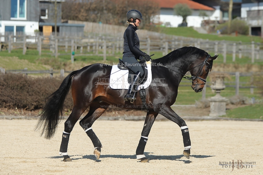 Preview 19-PDAubenhausen-FreiherrvonStein_JB_04785.jpg