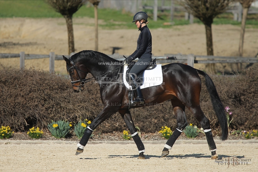 Preview 19-PDAubenhausen-FreiherrvonStein_JB_04788.jpg