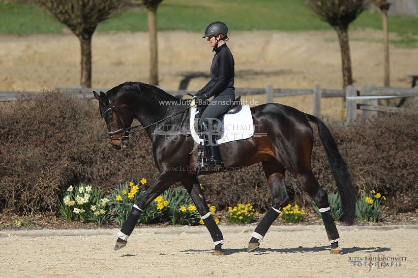 Preview 19-PDAubenhausen-FreiherrvonStein_JB_04789.jpg