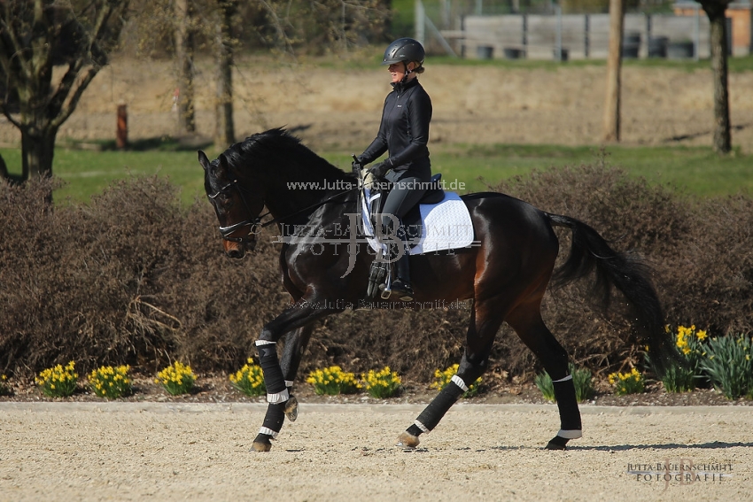 Preview 19-PDAubenhausen-FreiherrvonStein_JB_04793.jpg