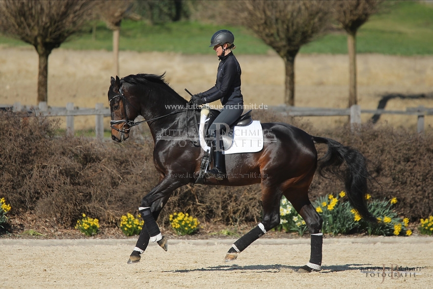 Preview 19-PDAubenhausen-FreiherrvonStein_JB_04806.jpg