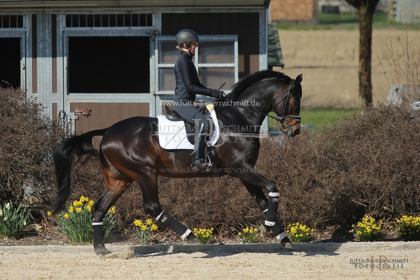 Preview 19-PDAubenhausen-FreiherrvonStein_JB_04827.jpg