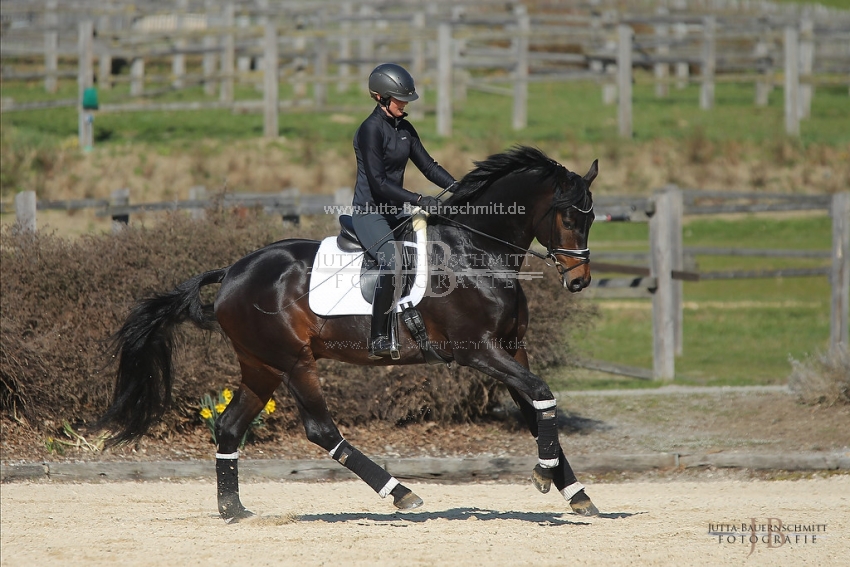 Preview 19-PDAubenhausen-FreiherrvonStein_JB_04830.jpg