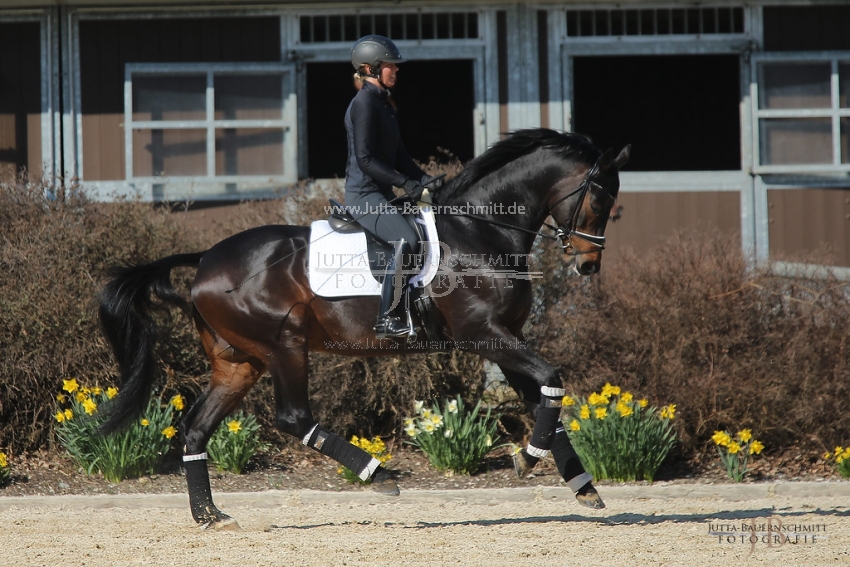 Preview 19-PDAubenhausen-FreiherrvonStein_JB_04832.jpg