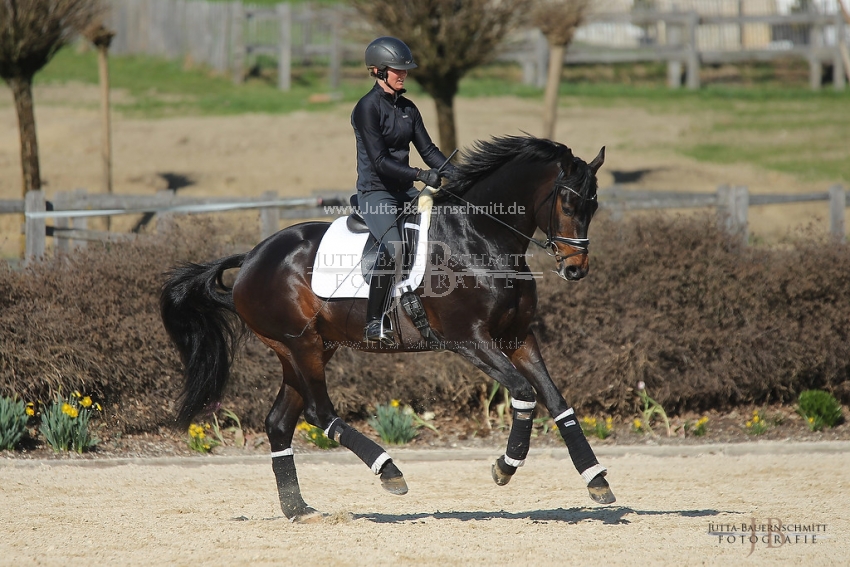 Preview 19-PDAubenhausen-FreiherrvonStein_JB_04837.jpg