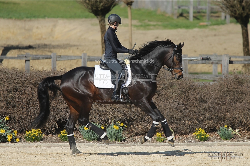 Preview 19-PDAubenhausen-FreiherrvonStein_JB_04840.jpg