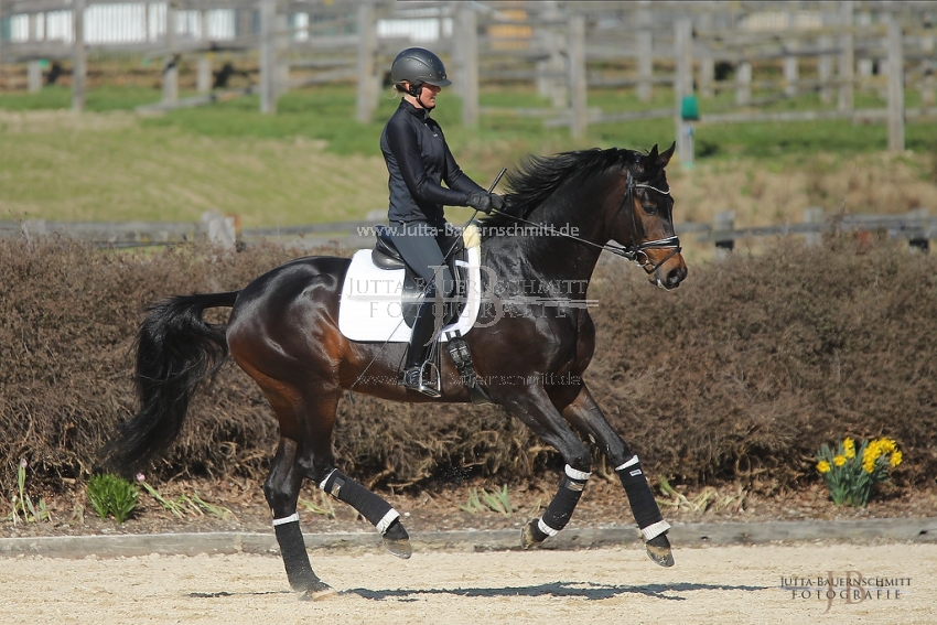 Preview 19-PDAubenhausen-FreiherrvonStein_JB_04841.jpg