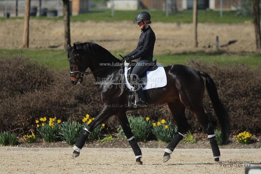 Preview 19-PDAubenhausen-FreiherrvonStein_JB_04846.jpg