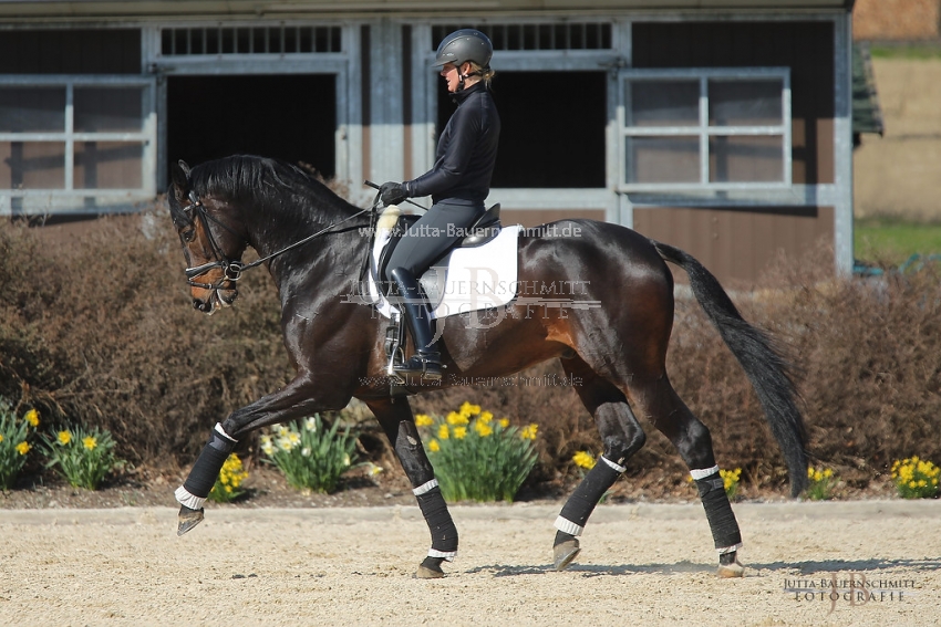 Preview 19-PDAubenhausen-FreiherrvonStein_JB_04860.jpg