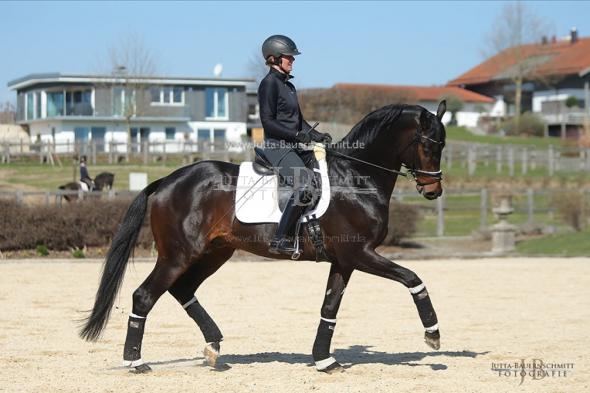 Preview 19-PDAubenhausen-FreiherrvonStein_JB_04867.jpg