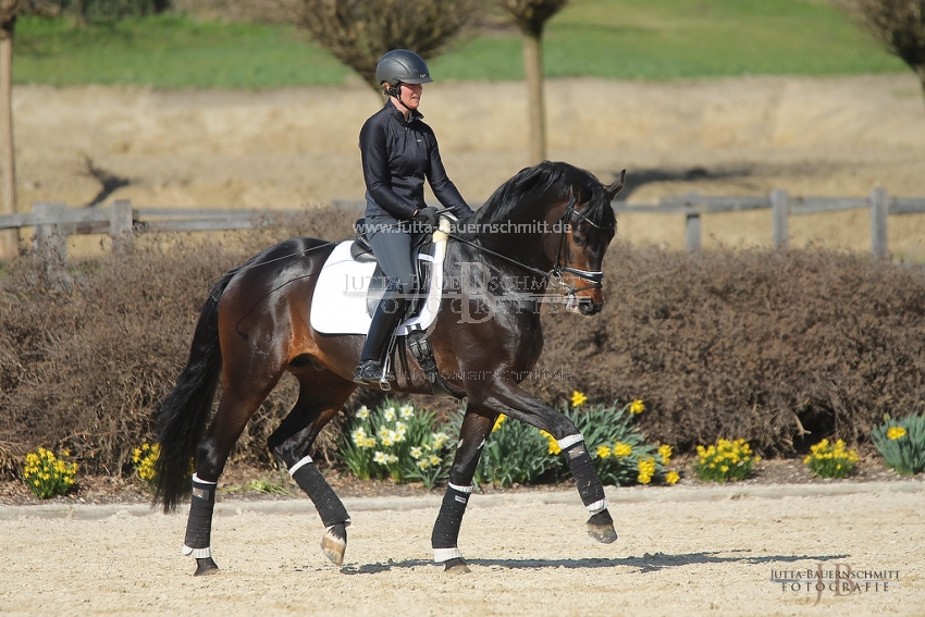 Preview 19-PDAubenhausen-FreiherrvonStein_JB_04869.jpg