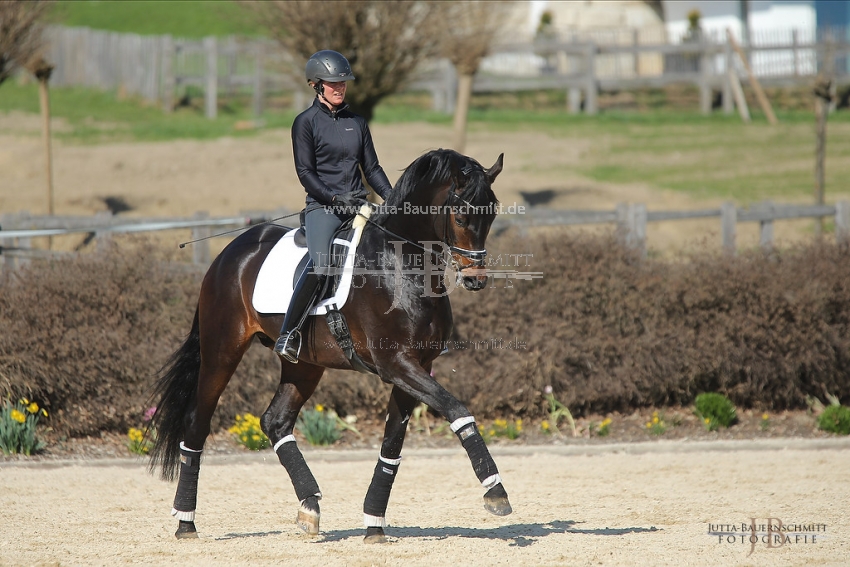 Preview 19-PDAubenhausen-FreiherrvonStein_JB_04871.jpg